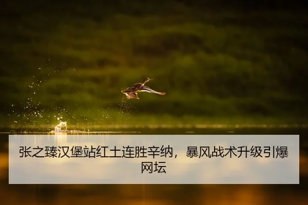 张之臻汉堡站红土连胜辛纳，暴风战术升级引爆网坛